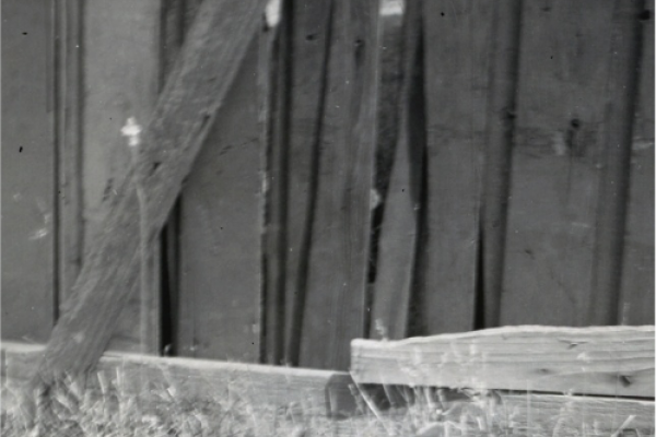 This kitten was photographed during the construction of the first RJS building and is christened the first RJS cat.  We have no idea of its name (or gender) so we have given it the name “RJ”